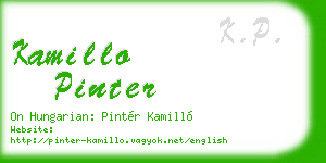 kamillo pinter business card